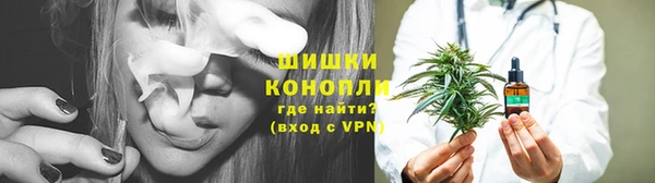 дживик Вязьма