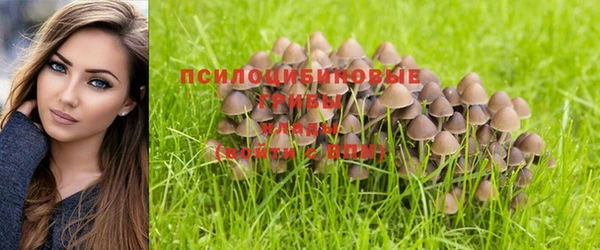 первитин Вяземский