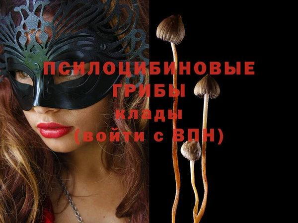 молекула духа Вязники