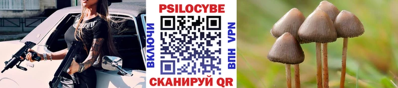 Псилоцибиновые грибы Psilocybe МЕГА маркетплейс Могоча